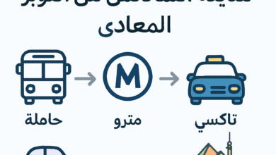 كيف تذهب من أكتوبر إلى المعادي؟ دليل المواصلات خطوة بخطوة